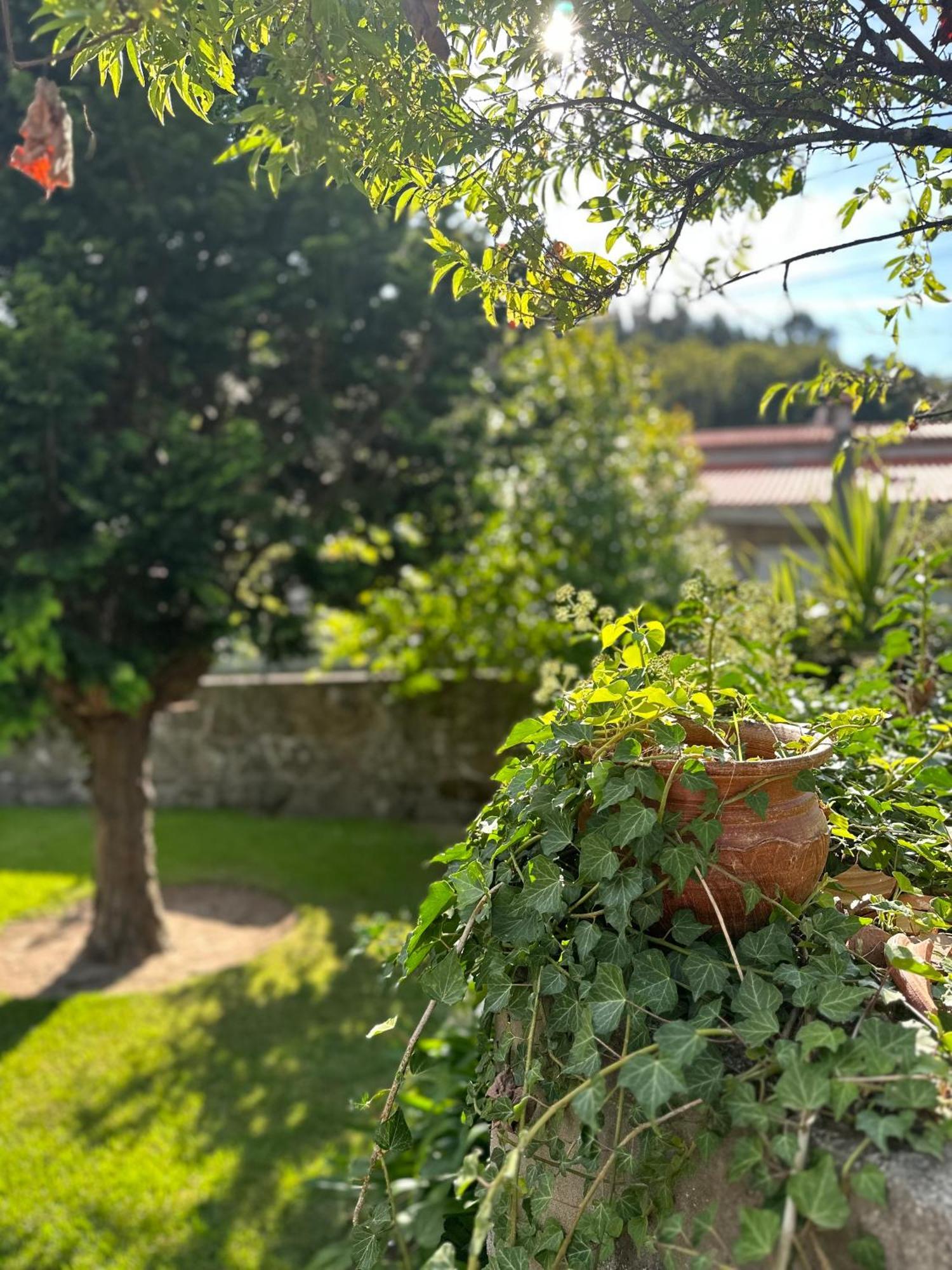 Vila Guia In Valdreu Braga Bagian luar foto
