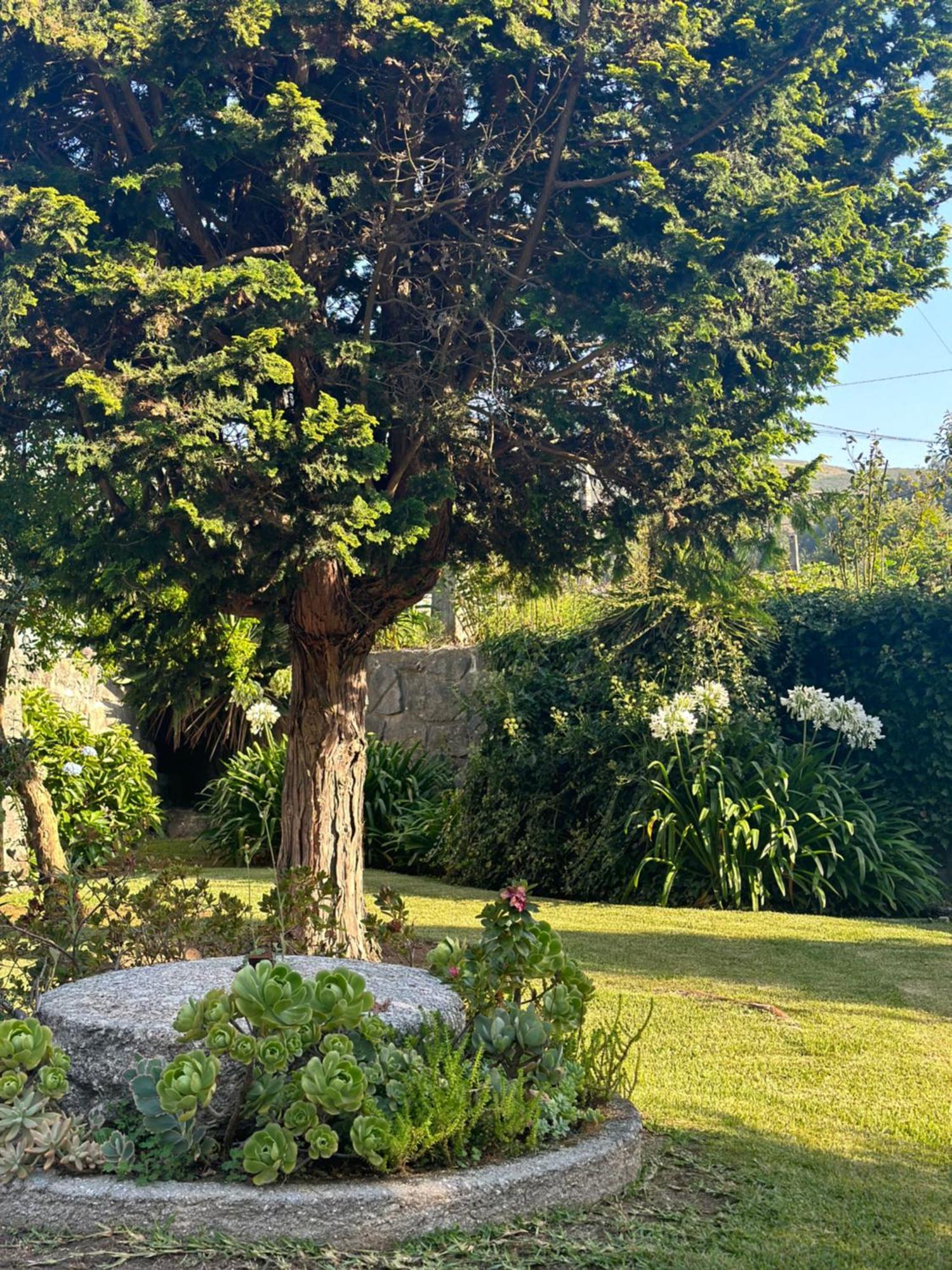 Vila Guia In Valdreu Braga Bagian luar foto